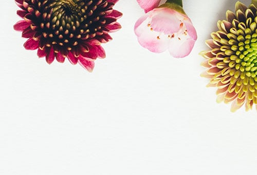 banner-home-3
